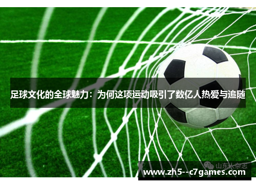 足球文化的全球魅力：为何这项运动吸引了数亿人热爱与追随